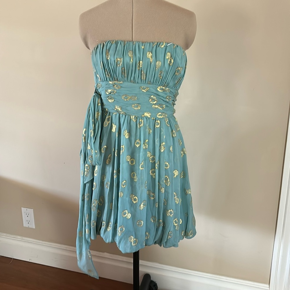 BCBG dress!